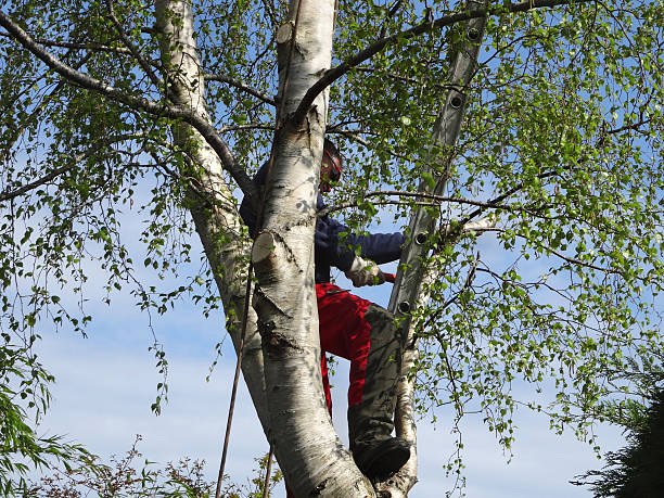 Mulching Services in Keys, OK